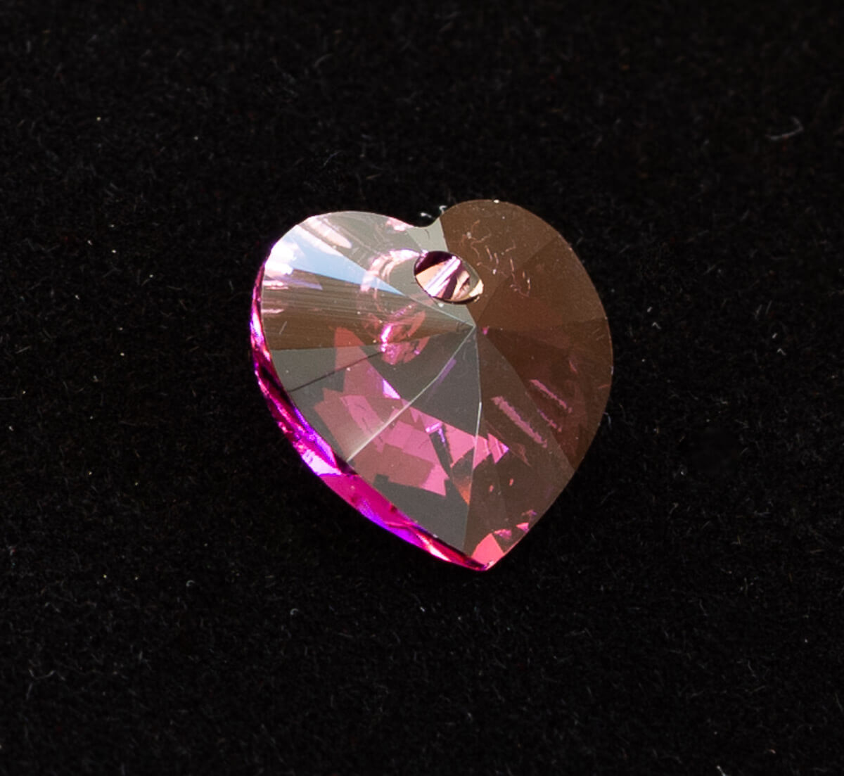 Maple Tree Memories - Large Maple Tree - Random Tree