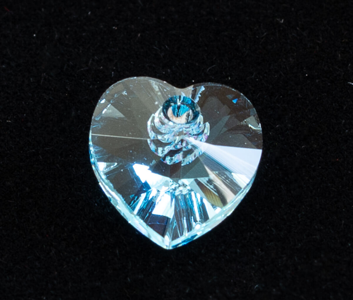 Maple Tree Memories - Large Maple Tree - Random Tree