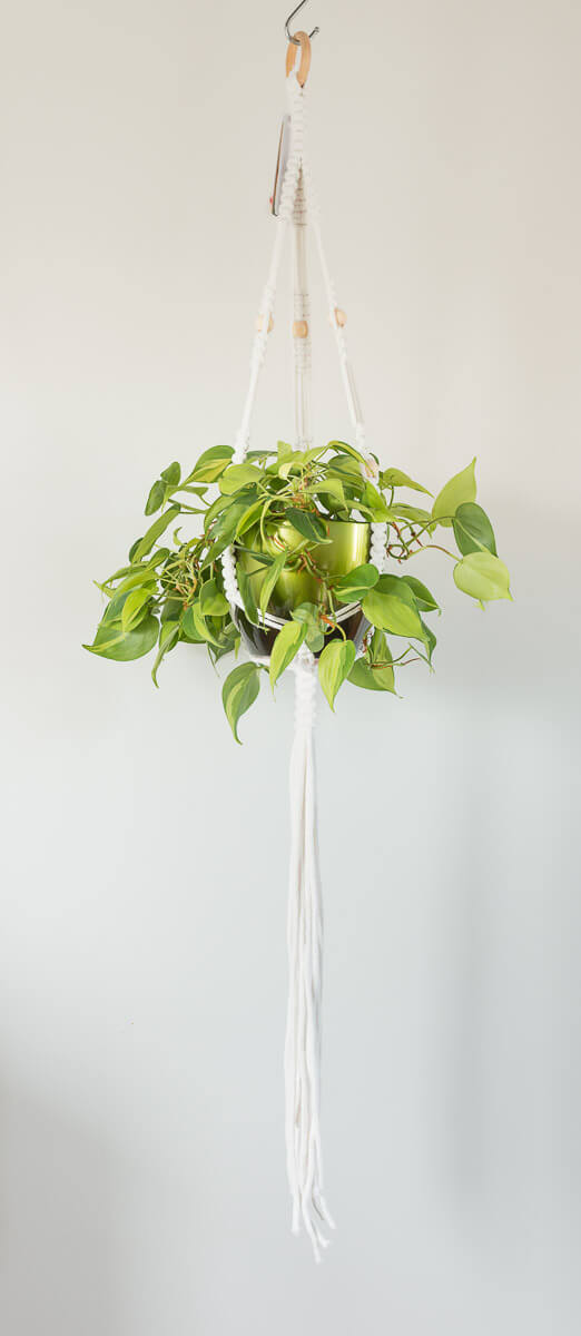 Macrame - Small Plant Hanger with heart