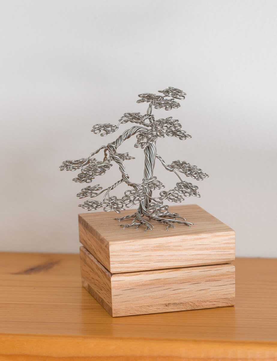 Maple Tree Memories - Mini Maple Tree - Jewellery box - Random Tree