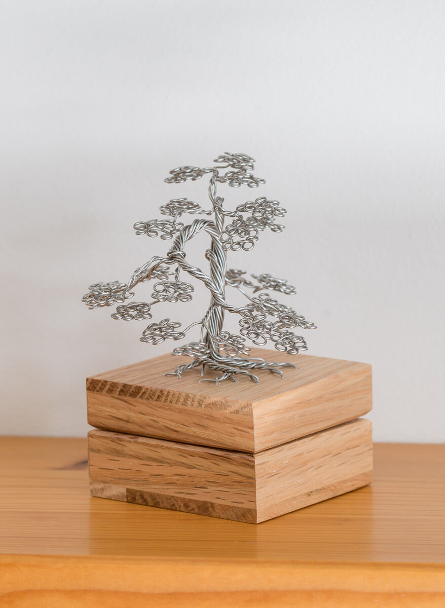 Maple Tree Memories - Mini Maple Tree - Jewellery box - Random Tree