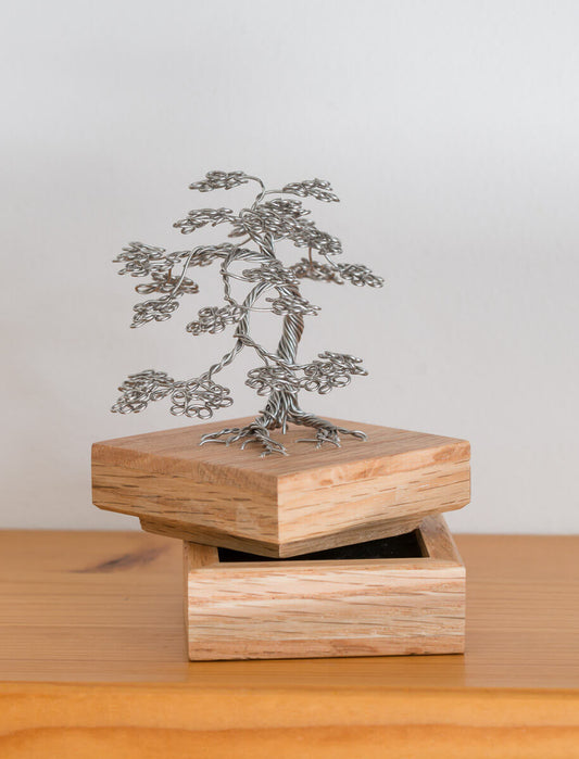 Maple Tree Memories - Mini Maple Tree - Jewellery box 1