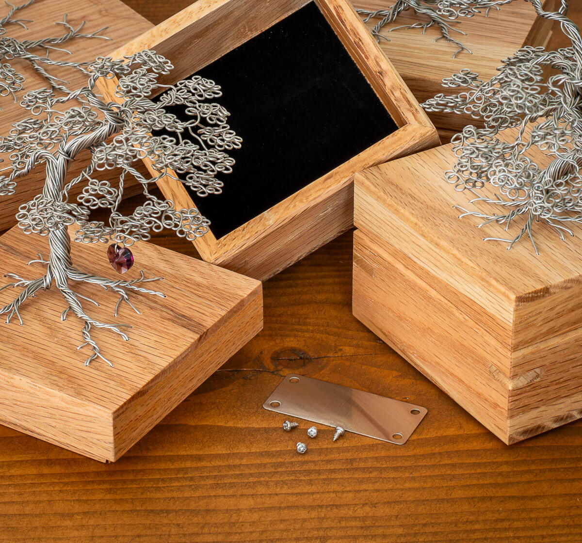 Maple Tree Memories - Large Maple Tree - Random Tree