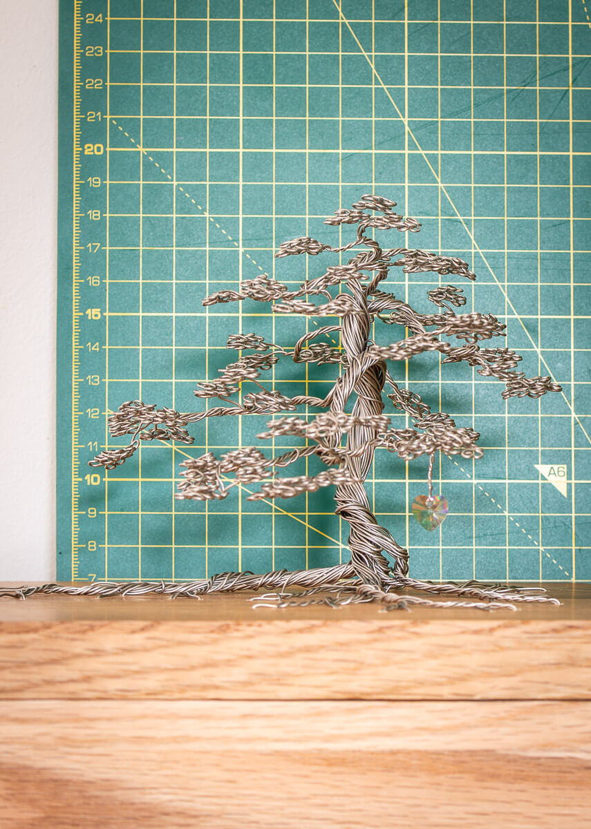 Maple Tree Memories - Large Maple Tree - Random Tree