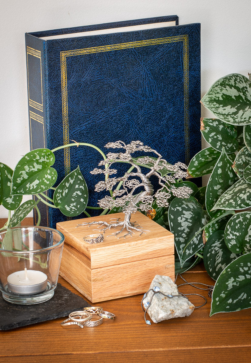 Maple Tree Memories - Large Maple Tree - Random Tree