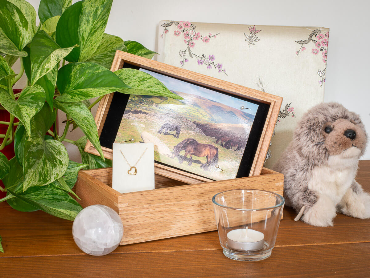 Maple Tree Memories - Large Maple Tree - Random Tree