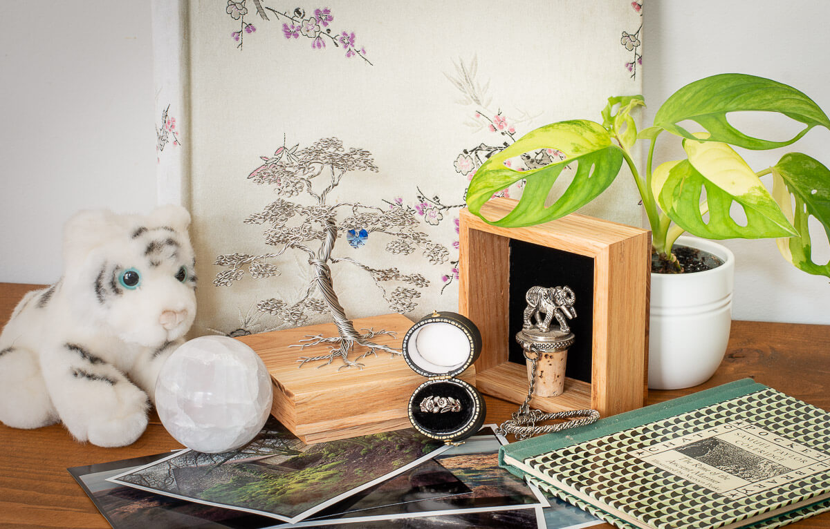 Maple Tree Memories - Large Maple Tree - Random Tree