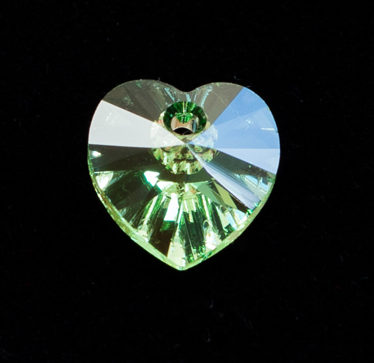 Maple Tree Memories - Large Maple Tree - Random Tree