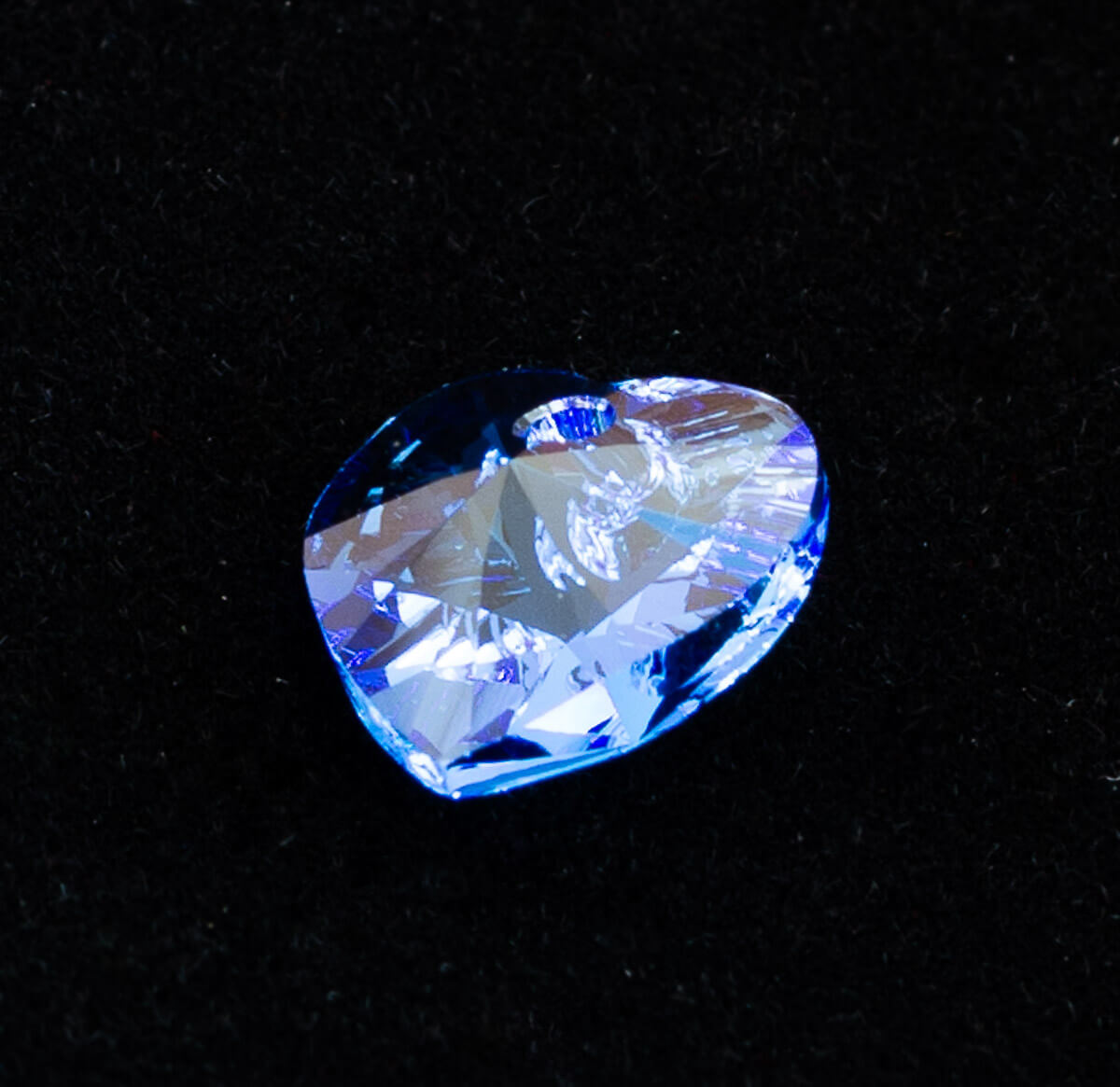 Maple Tree Memories - Large Maple Tree - Random Tree