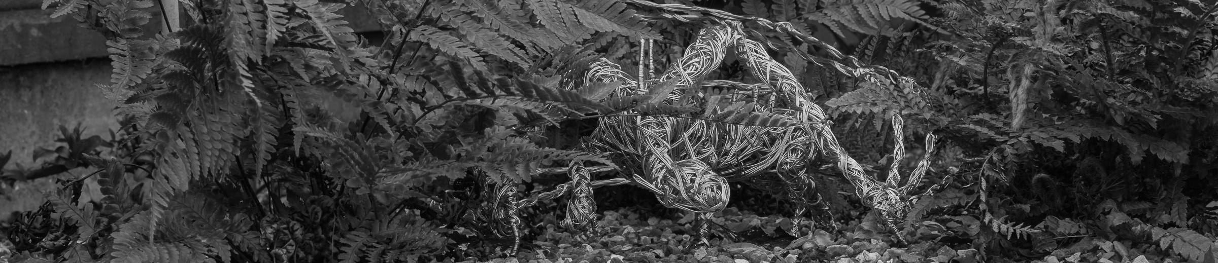 Sculpture Dragon under bush black and white image Garden Sculpture