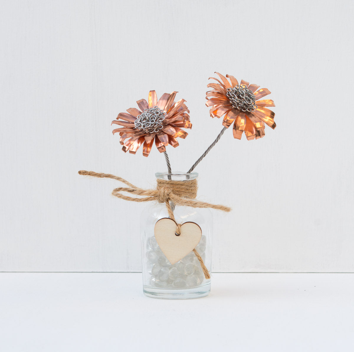 Wild flower - Copper Ox-eye daisy