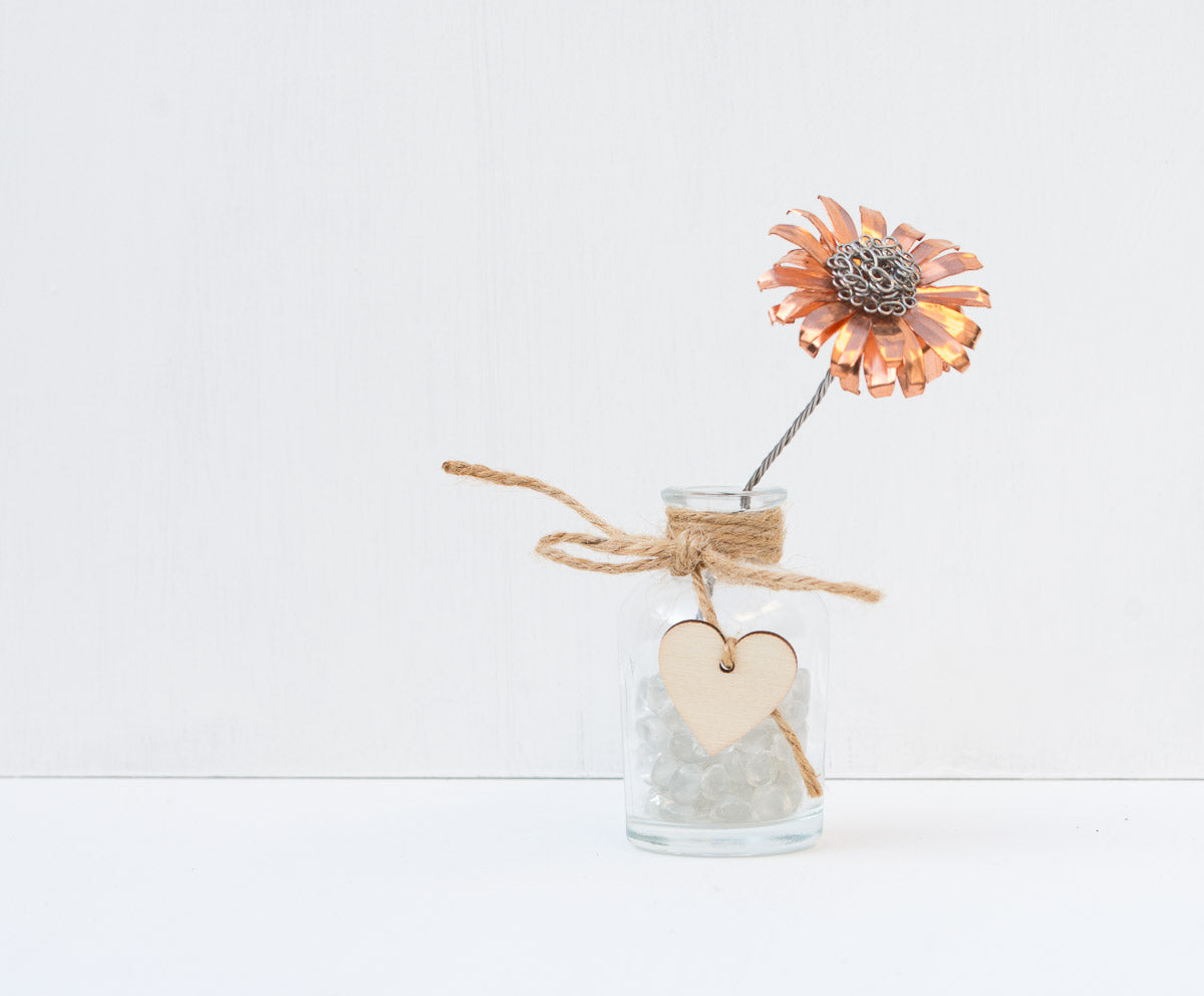 Wild flower - Copper Ox-eye daisy