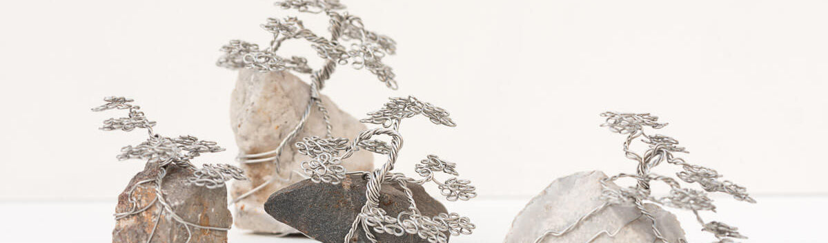 Stainless steel wire trees on rocks