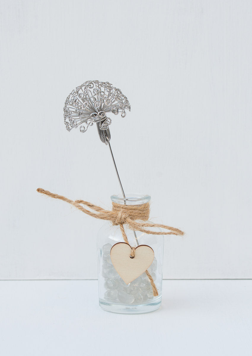 Wild flower - Dandelion