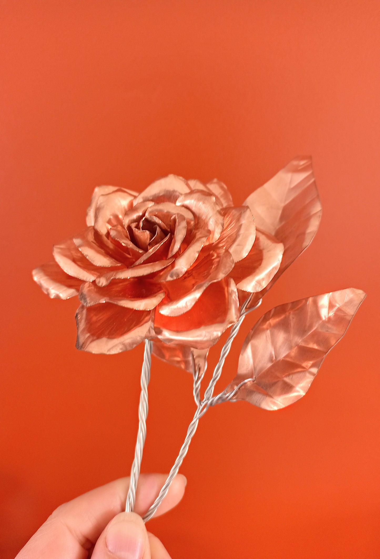 Rose - Copper