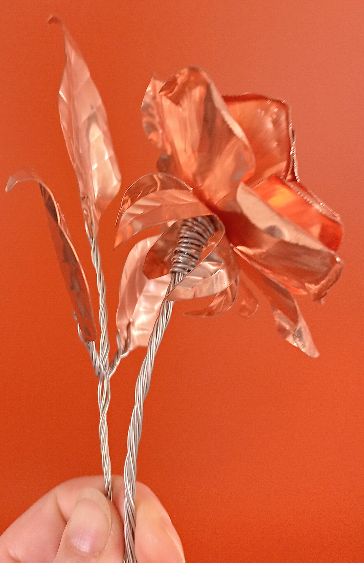 Rose - Copper