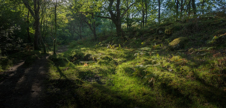 Dartmoor