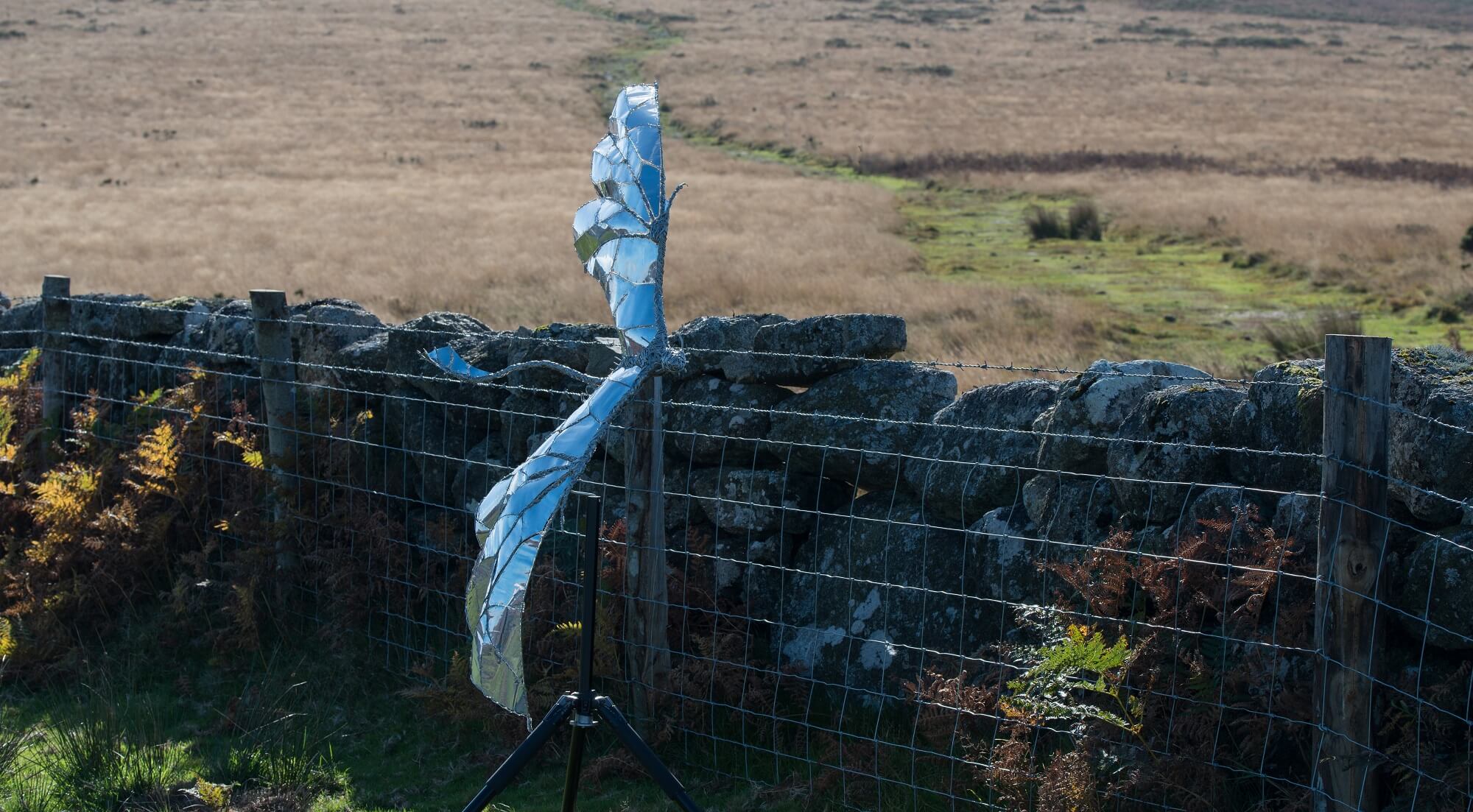Dragon sculpture stainless steel
 flying near stone wall