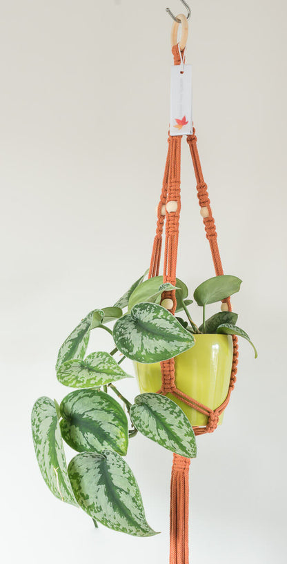 Macrame - Standard Wide Plant Hanger