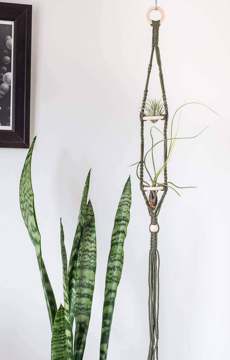 Macrame 2 Tier Air Plant Hanger