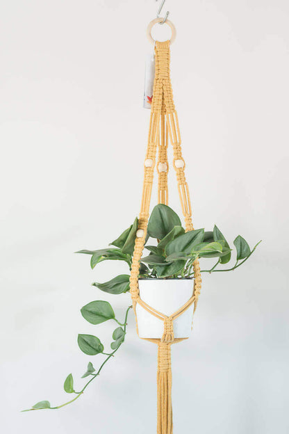 Stylish macrame plant hanger with small green plant in white pot, featuring elegant three-leg design and 45mm hanging ring.