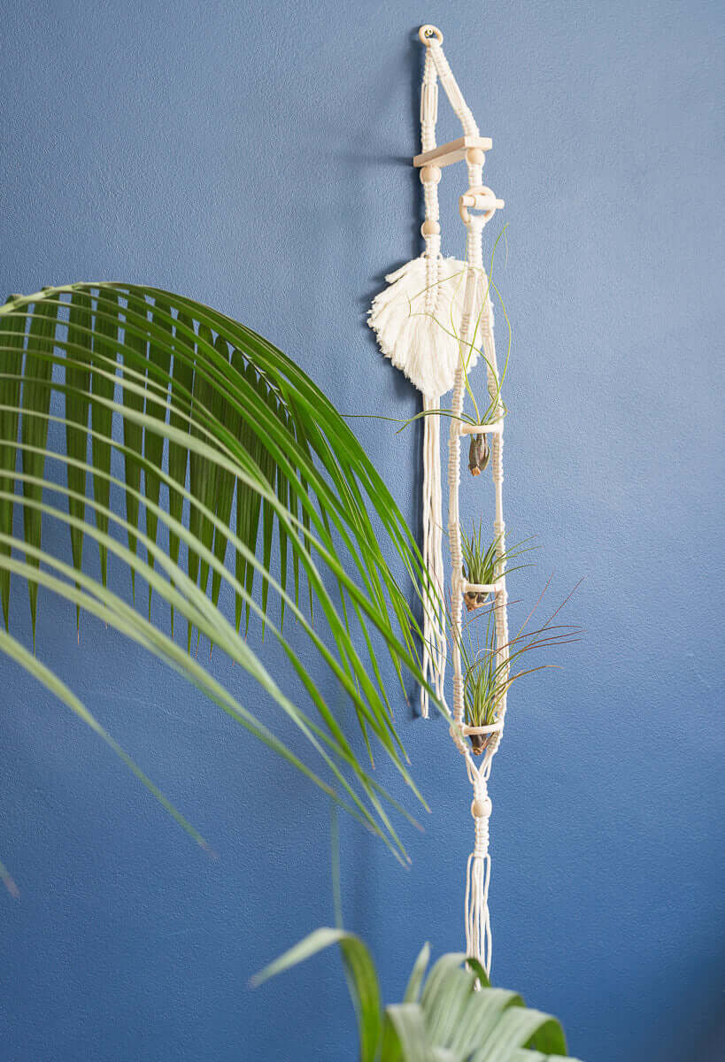 Macrame 3 Tier Air Plant Hanger Natural on wall bracket