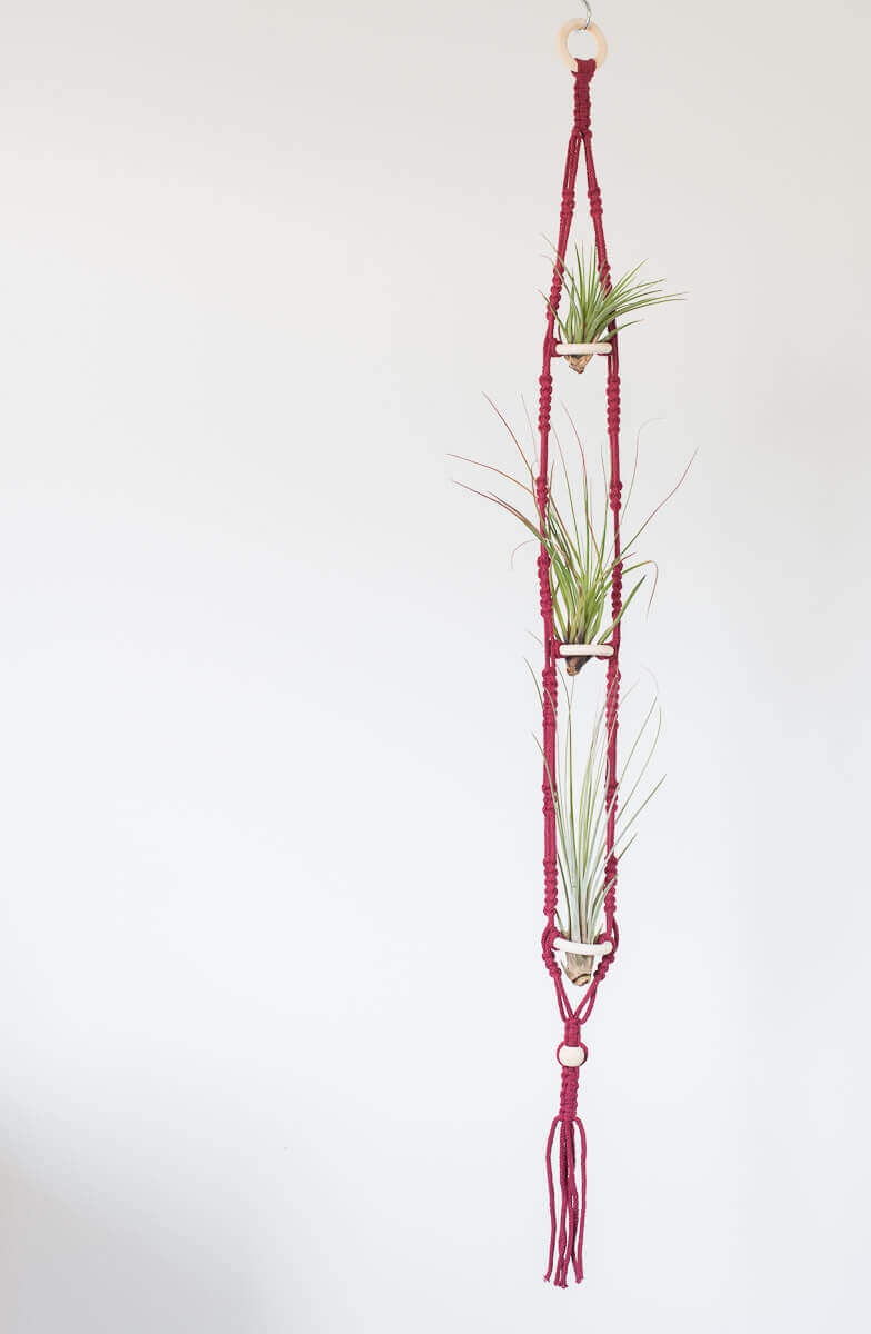 Macrame 3 Tier Air Plant Hanger Wine Red