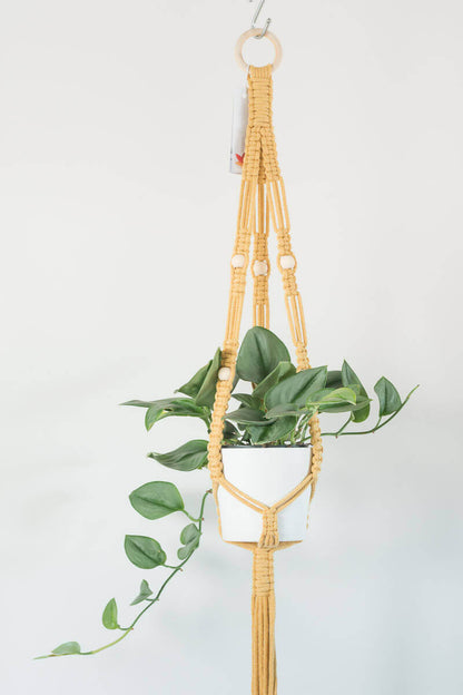 Macrame - Standard Wide Plant Hanger