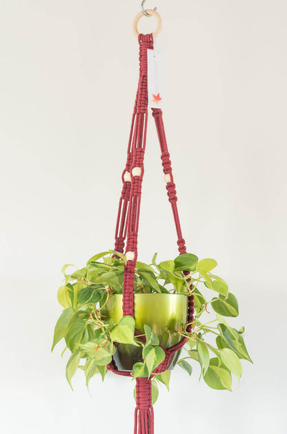 Macrame - Standard Wide Plant Hanger