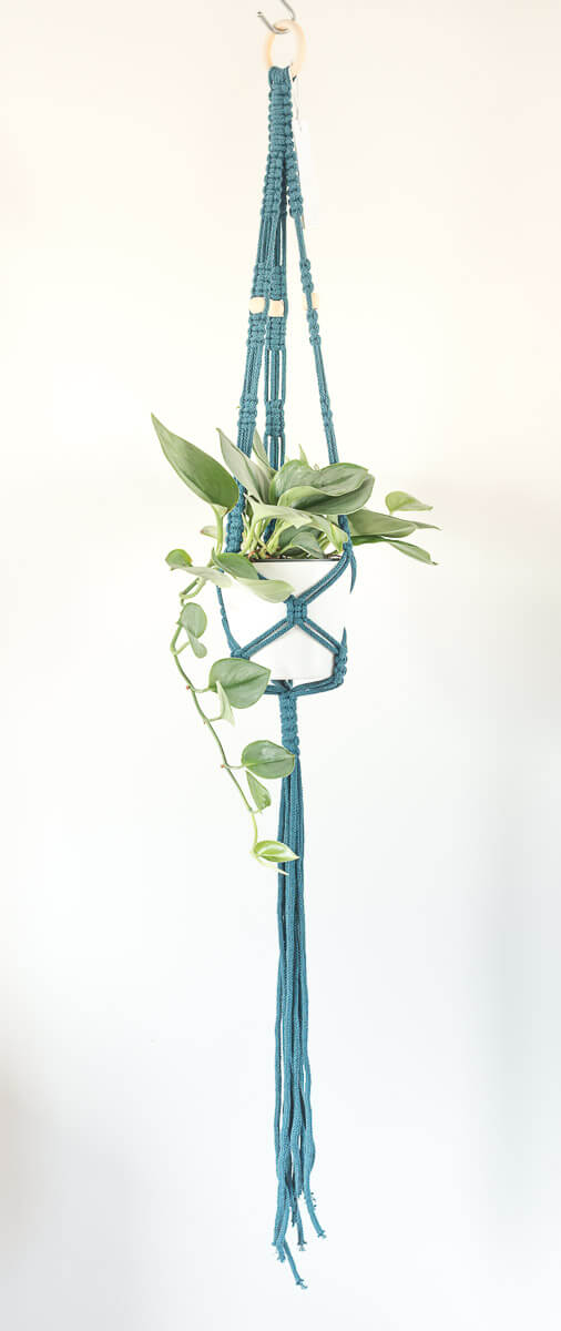 Stylish macrame plant hanger with a green pot and cascading vines, featuring a blue 5 mm cord and wooden ring for versatile hanging.