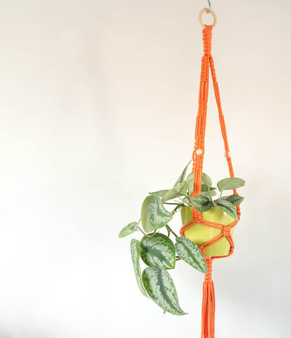 Macrame - Plant Hanger - Bright