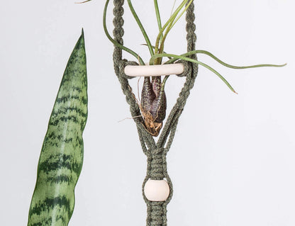 Macrame 2 Tier Air Plant Hanger Close up