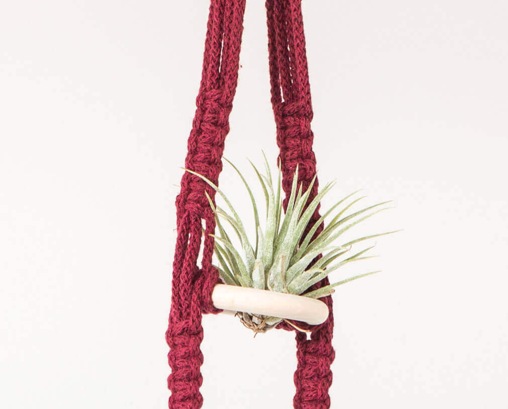 Macrame 3 Tier Air Plant Hanger Close up Wine Red