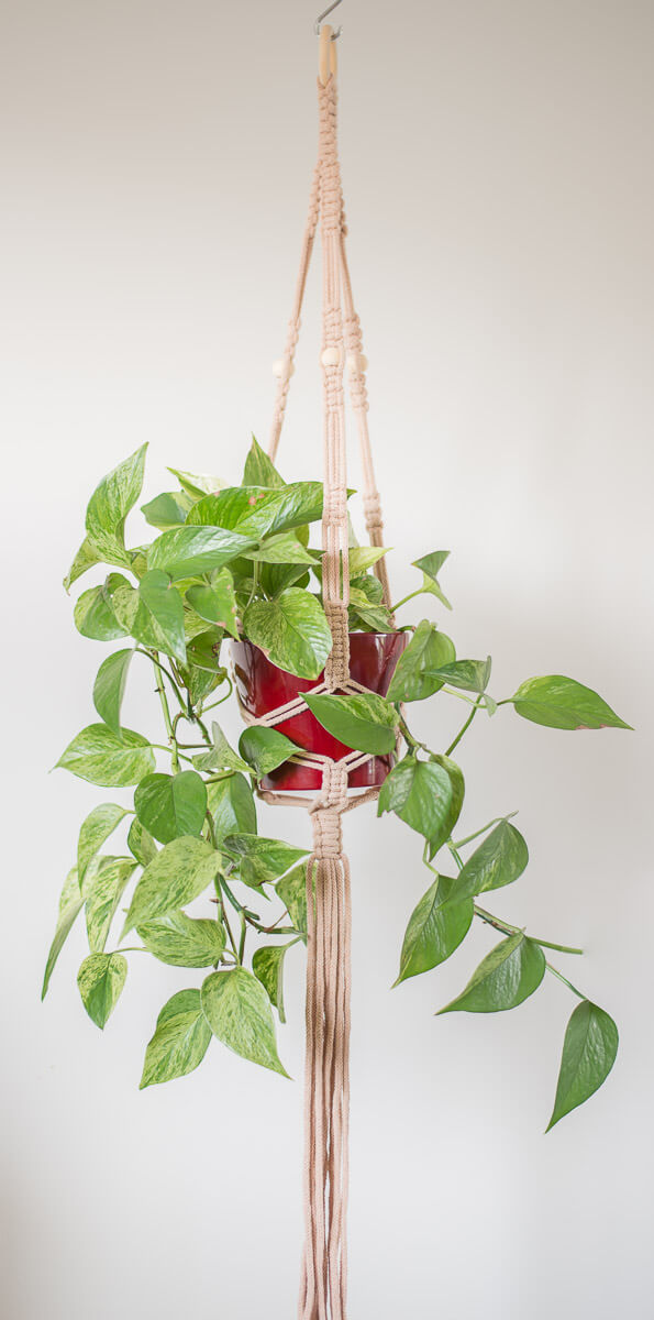 Stylish macrame plant hanger with lush green plant in red pot, made from 5 mm cord with wooden ring and three sturdy legs.