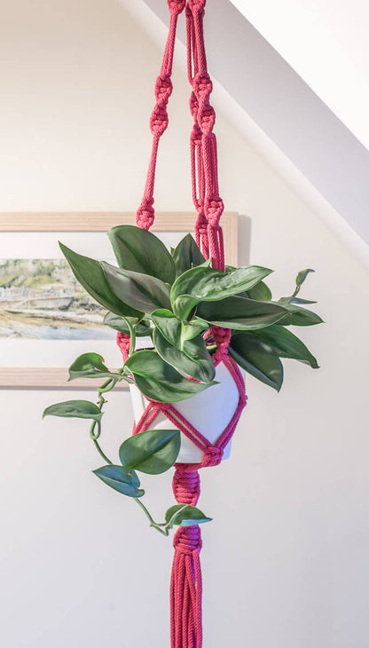 Macrame plant hanger bright Colyton Pink