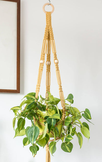 Stylish macrame plant hanger with lush green plant, featuring a 60 mm wooden ring, perfect for home décor and versatile pot sizes.