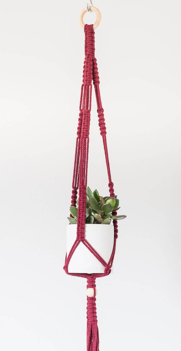 Resin Plant Pot in Macrame Plant Hanger