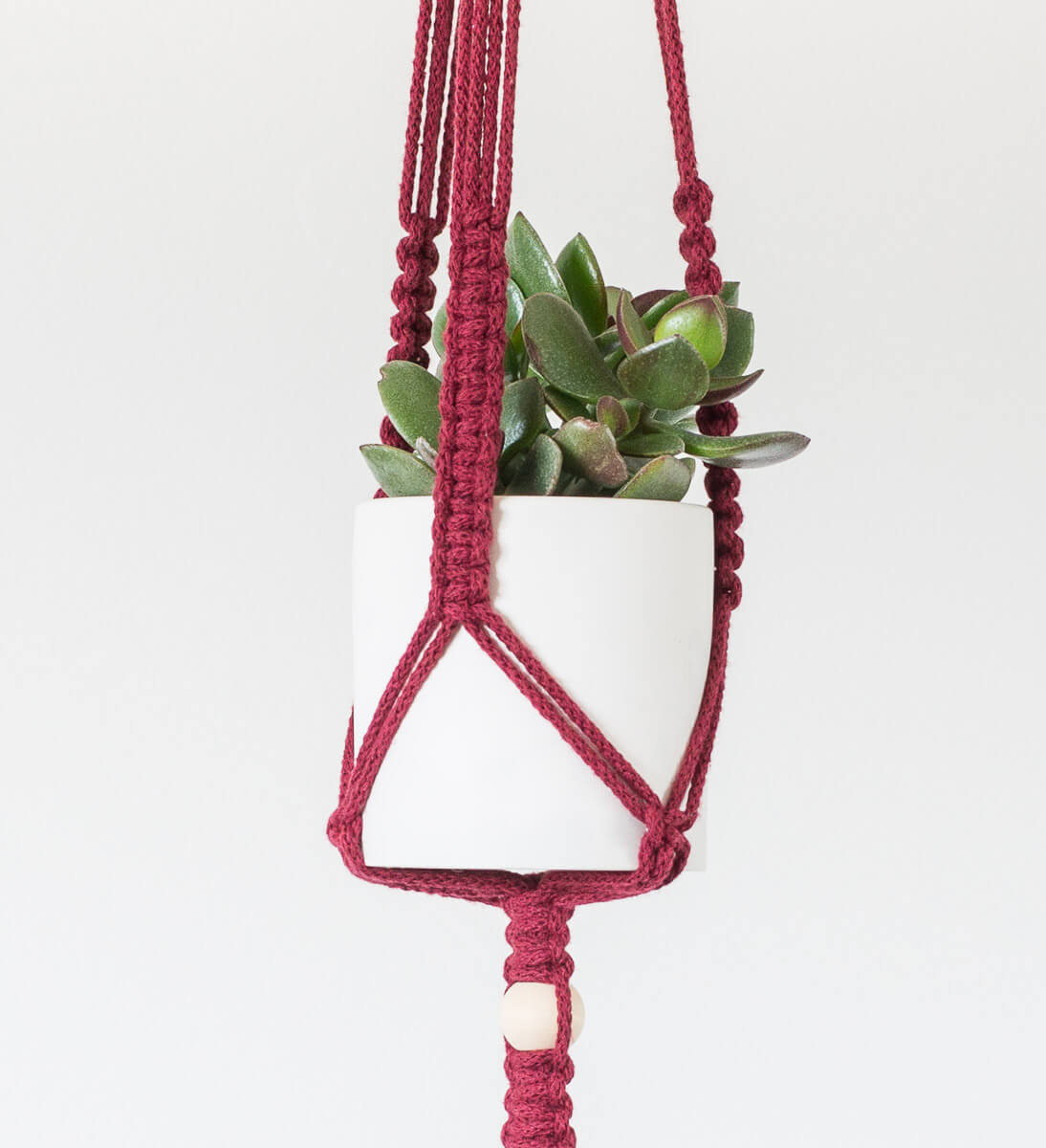 Resin Plant Pot in Macrame Plant Hanger