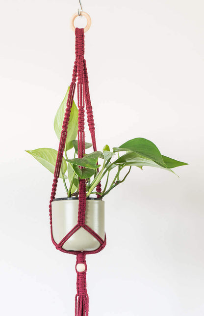 Stylish macrame plant hanger with green plant in white pot, featuring a three-leg design and 45mm hanging ring.