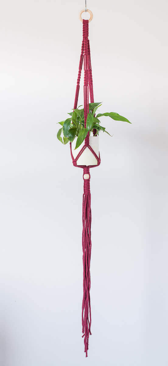 Stylish macrame plant hanger with small green plant in pot, featuring long red cords and a 45 mm hanging ring.