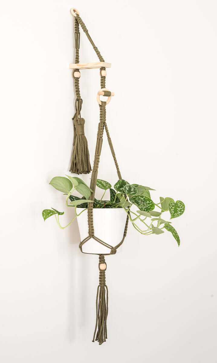 Stylish macrame plant hanger with white pot and green plant, featuring three legs and a 45 mm hanging ring. Perfect for small spaces.