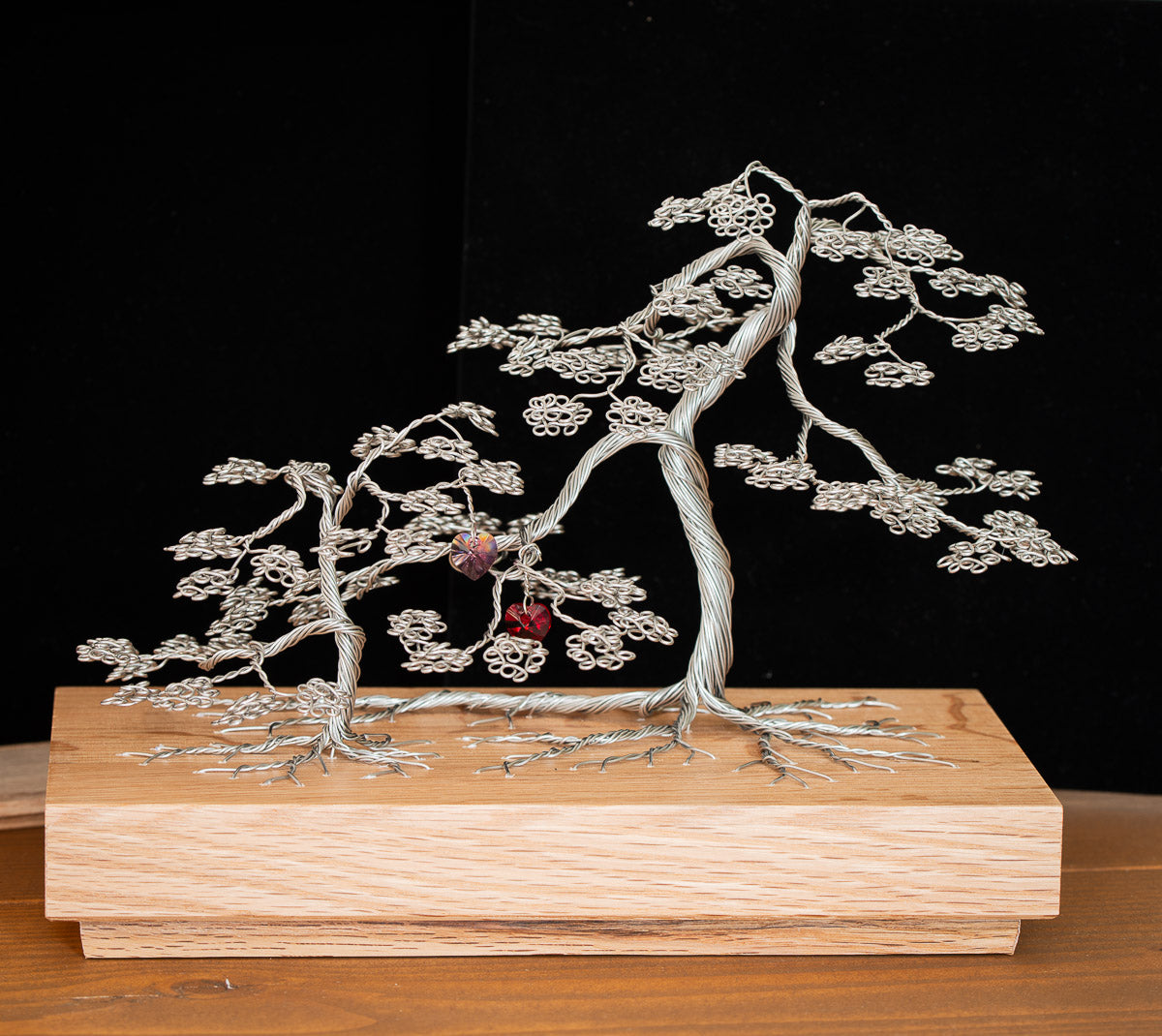 Maple Tree Memories - Memory Maple Gift memory box - with FREE small tree