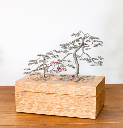 Maple Tree Memories - Memory Maple Gift memory box - with FREE small tree