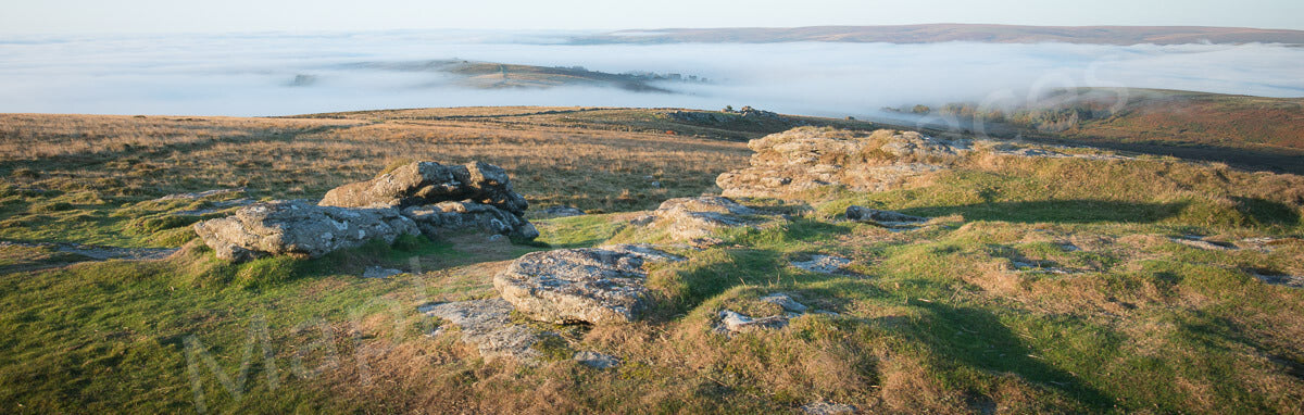 Prints - Dartmoor Fog