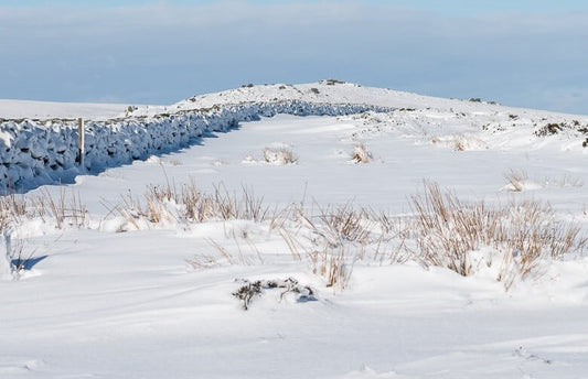 Canvas Print Giclee Print Photography Print Dartmoor Snow Cropped image