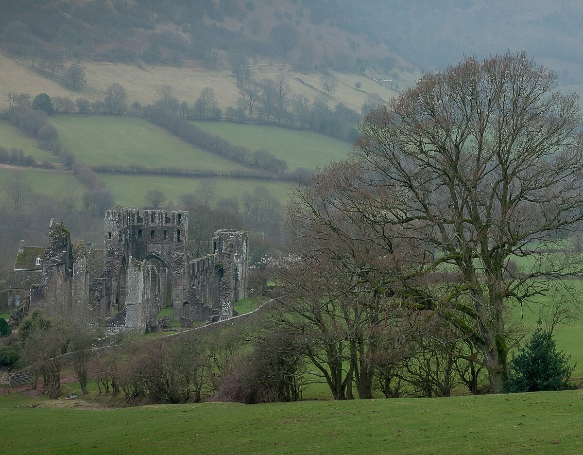 Canvas Print Giclee Print Photography Print Llantony Priory Cropped image