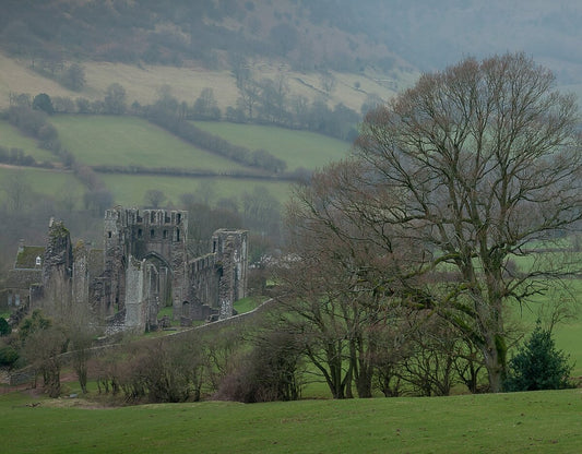 Canvas Print Giclee Print Photography Print Llantony Priory Cropped image