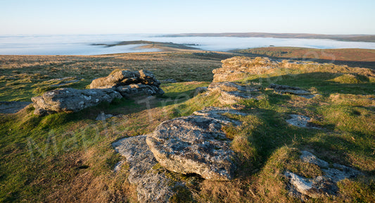 Prints - Rippon Tor