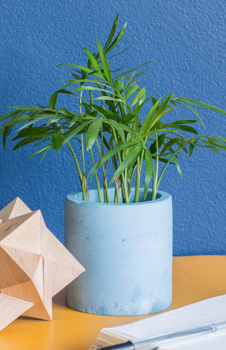 Resin Plant Pot with Plant Powder Blue