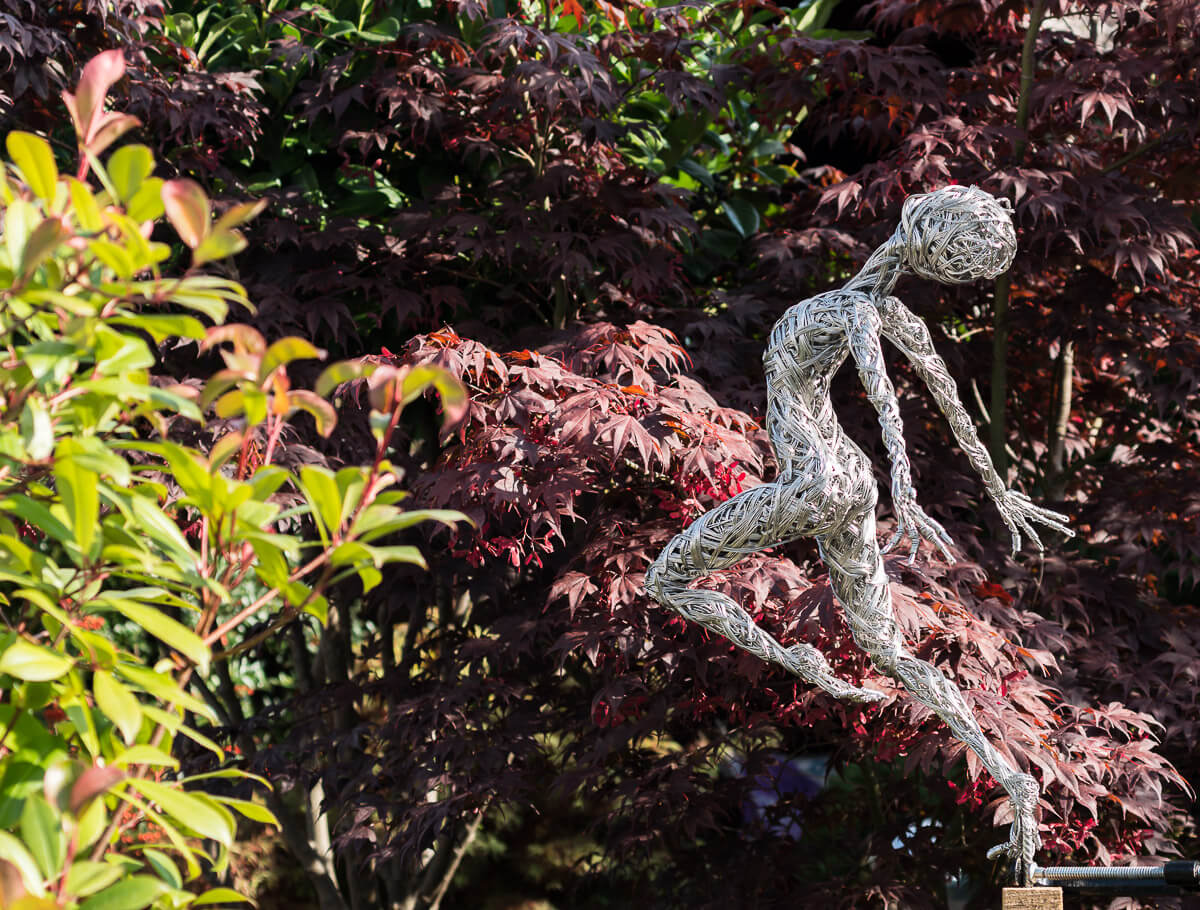 Garden Sculpture Freedom with Acer trees